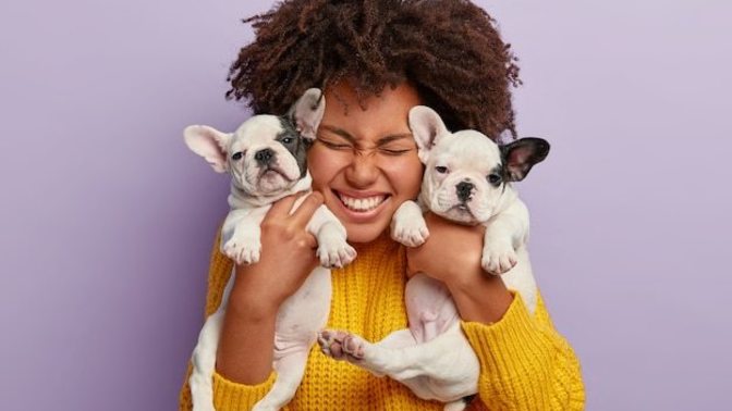 Are you a cat person or dog person? Why?