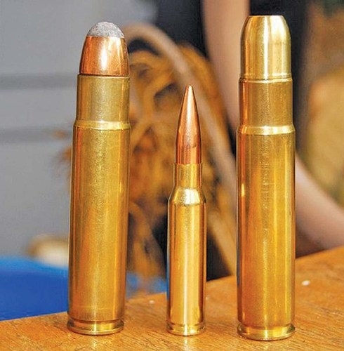 .577 Tyrannosaur rounds, with a.308 in between.