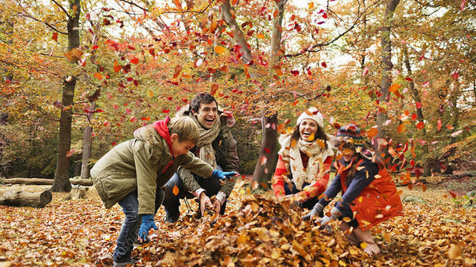 Tell me what you like about the fall season?