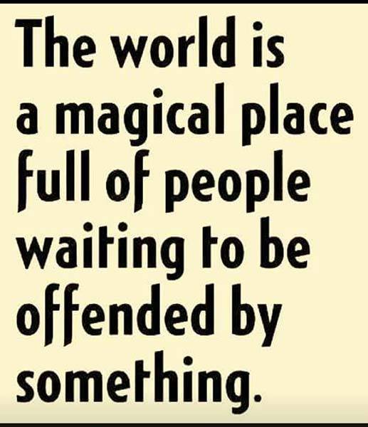 Do you believe that a person should face jail time because something they said offended someone?