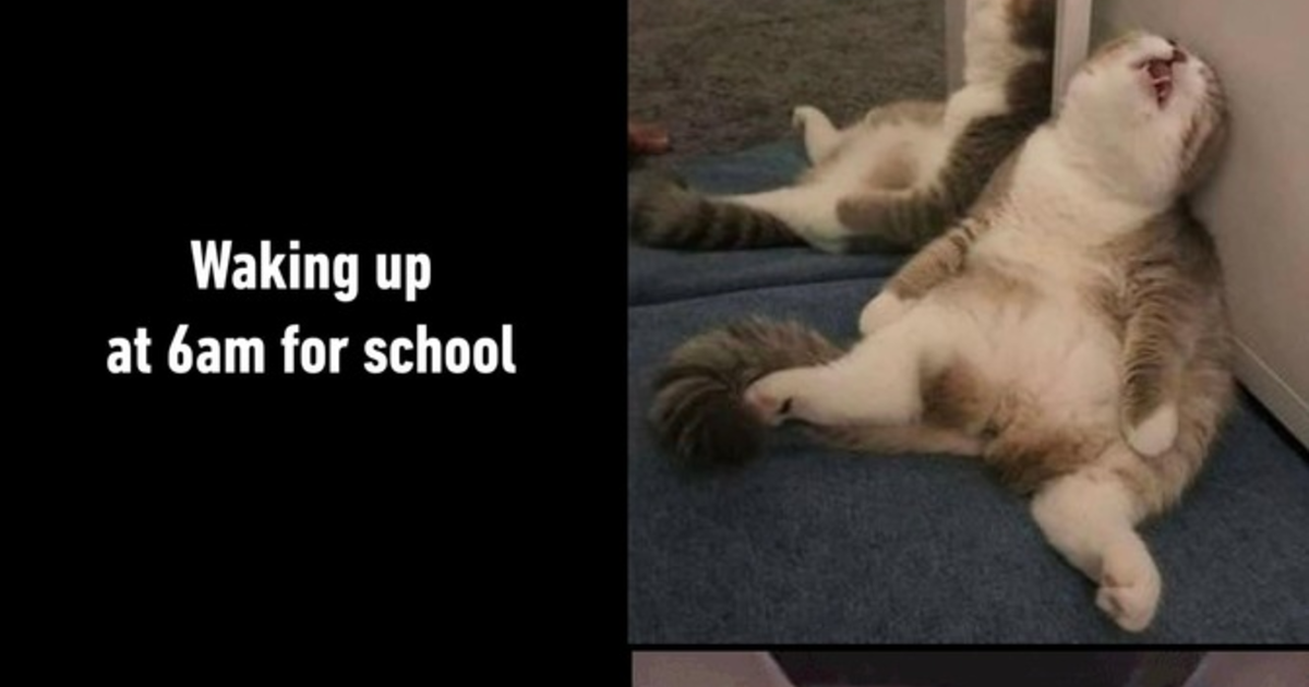 What time do you usually wake up for the day? For work/school/days off