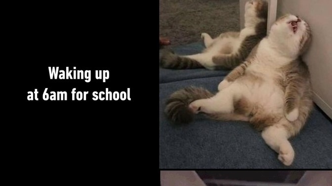 What time do you usually wake up for the day? For work/school/days off?