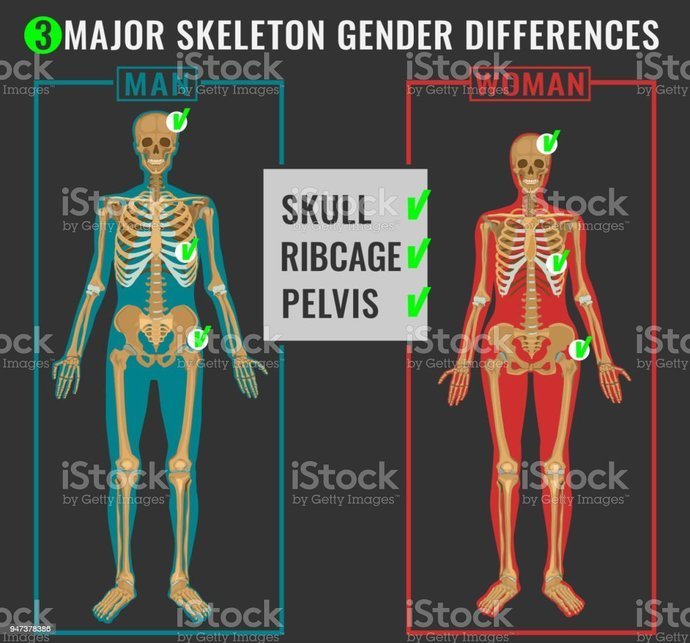 Which celebrity has a more attractive face?