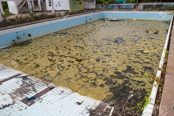 The modern Dating Pool, thanks to fake straight girls, fake straight men, and fake lesbians.