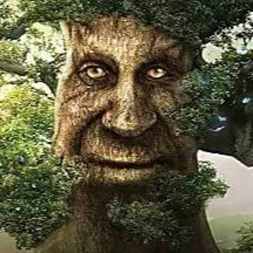 Girls why do you hate wise mystical tree so much?