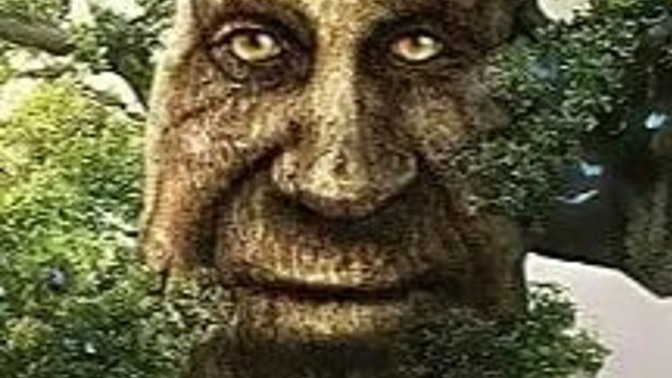 Girls why do you hate wise mystical tree so much?