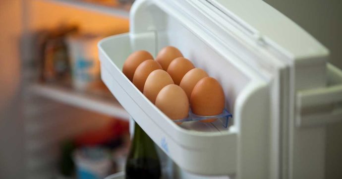 Do you store eggs in the fridge or at room temperature? Why or why not?