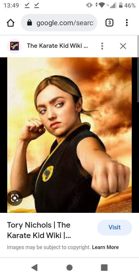 Guys, Have you noticed in the two Recent seasons in Cobra Kai, male Victory means Nothing in the All Valley tournament?
