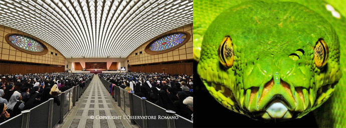 What would you think if the Pope did this to you?