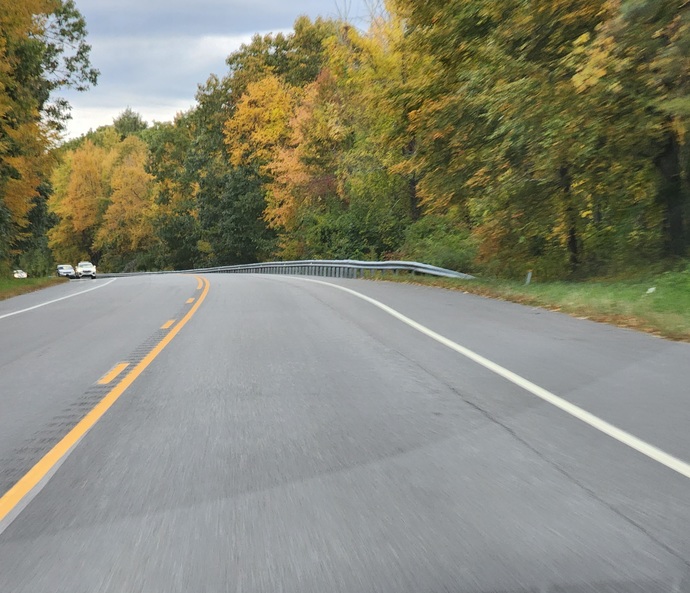 The leaves have changed. Have the leaves in our area changed yet?