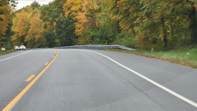 The leaves have changed. Have the leaves in our area changed yet?