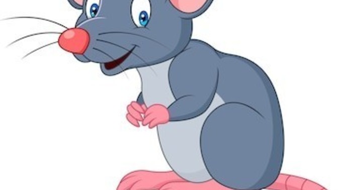 What is the best way to get rid of mice?