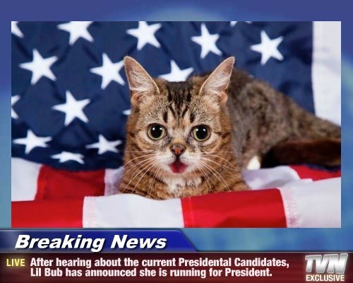 Would you rather A: have a bad president. Or B: have a animal as the president?