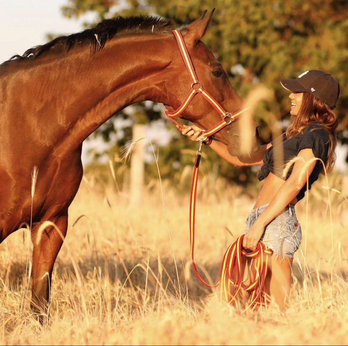 Girls, are y’all horse girls?