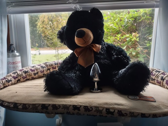 Can you beat up a bear? If so what type of bear?