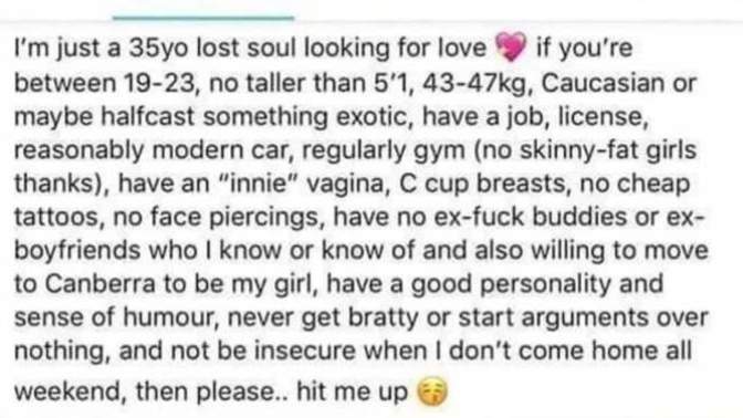 What do you think about this dating profile?