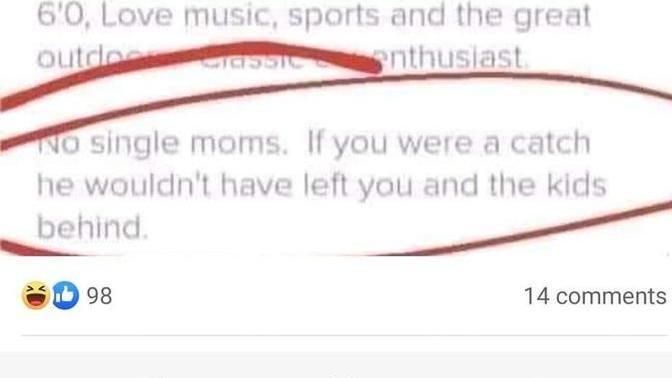 What do you think about this facebook profile? is he right about single moms?