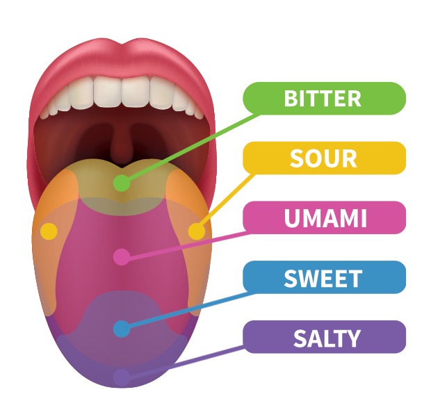 What do you like more? Spicy, sour, salty or sweet?