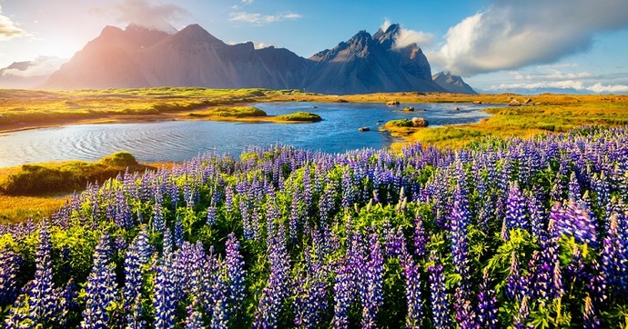 Which countries are the most safest yet still beautiful for a girl to visit alone?