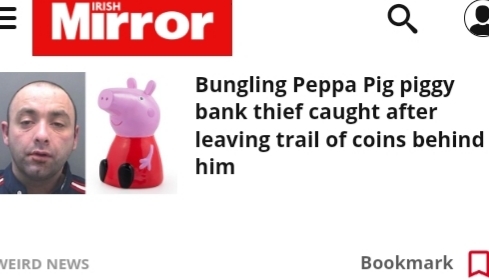 What do you think of this thief?
