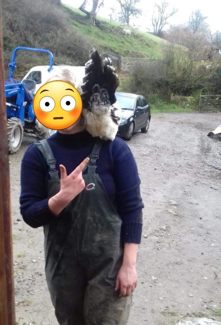 How do you catch a chicken?