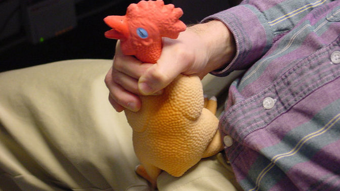 How do you catch a chicken?