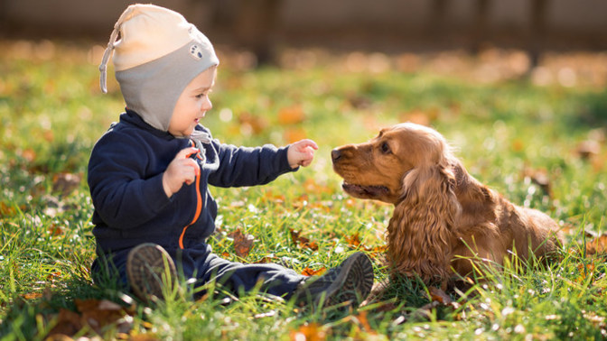 Furr babies vs kids: If you had to choose between one or the other which would you prefer a furr baby or kid?