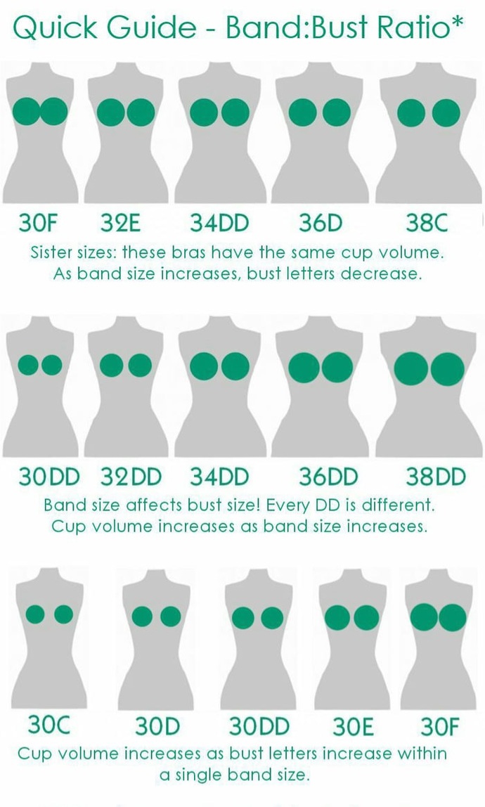 Guys if you have to choose one. B cup or D cup? Which is hotter?