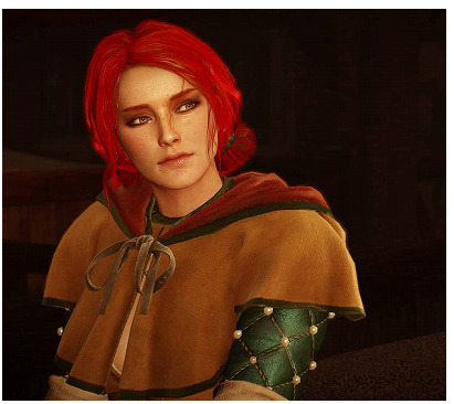 Anyone else dislike the casting choices in the Witcher Netflix series? If they made a movie, what do you think of these casting choices instead?
