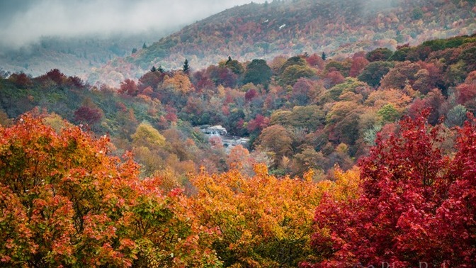 Have the fall colors peaked in your area yet?