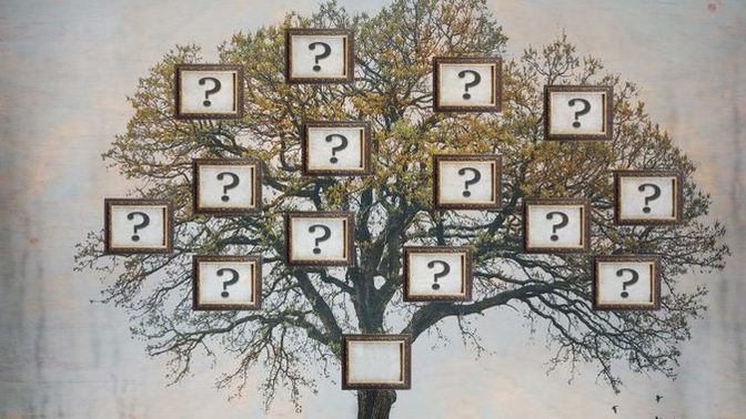 Where Is Your Ancestry From?