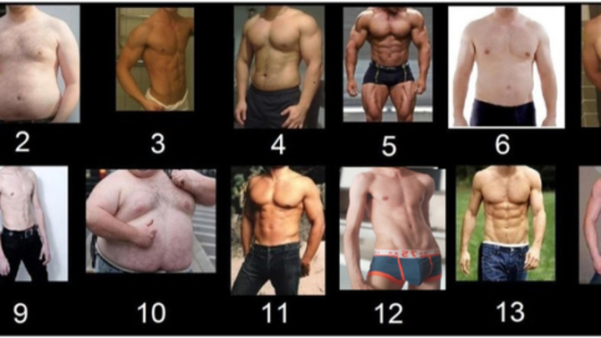 Girls, Girls Wich body types is hot to you?