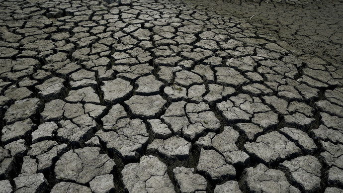 Do you drink enough water in a day?