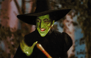 I'm not even joking. I Google Searched the GIF and everything.
