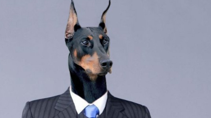 How would you react if one of your pets bit you and the next day you were part human part 'your pet'?