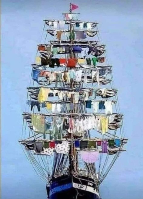 Why are there female sailors when the Navy🚢⚓ is strictly a man's job?