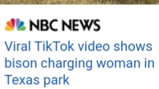 Female gored by bison?