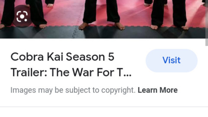 What were your thoughts on the Cobra Kai season 5 Cliff hanger?