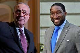 Schumer vs Pinion , could there be an upset for New York Senate seat?