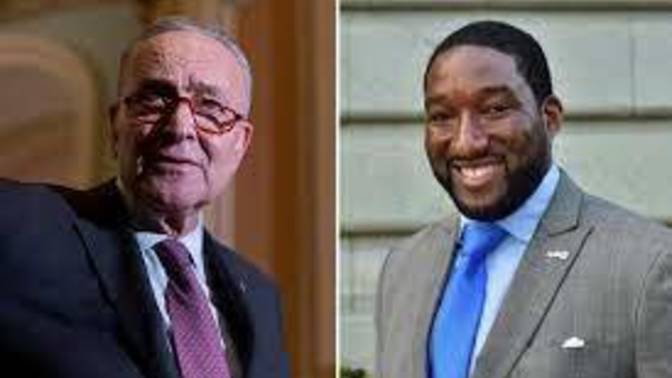 Schumer vs Pinion , could there be an upset for New York Senate seat?