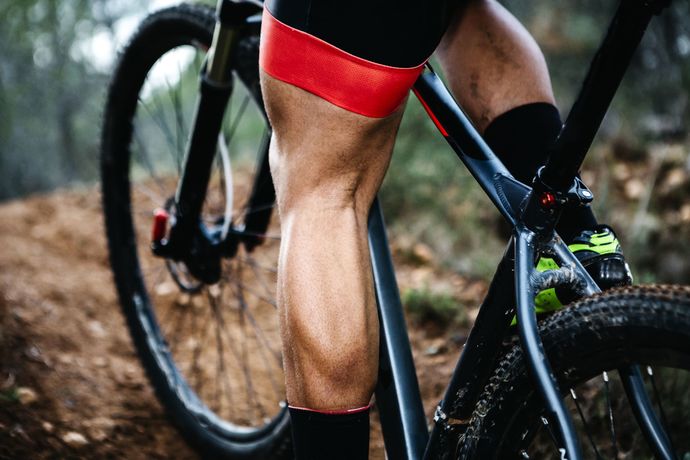 What are the best legs?