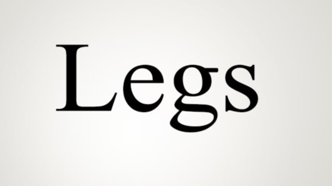 What are the best legs?