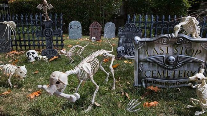 Have you set up your Halloween decorations yet?