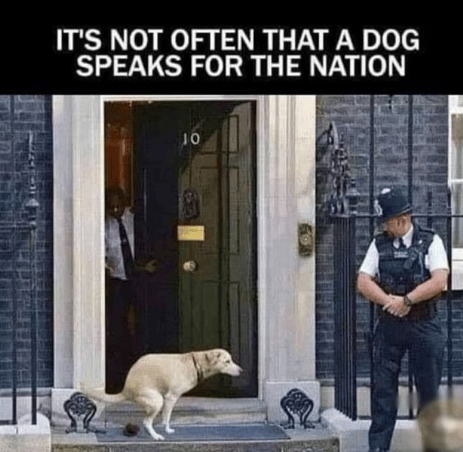 Is Boris coming back?