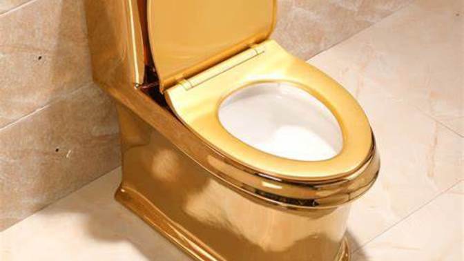 Do you believe $1.7 million for a public toilet?