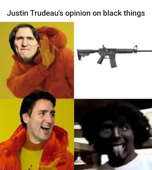 Trudeau needs to go?