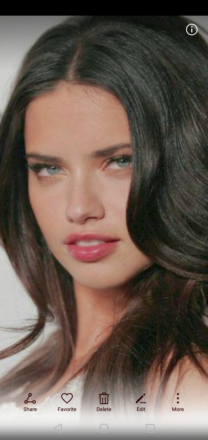 Adriana lima or megan fox which is prettier?