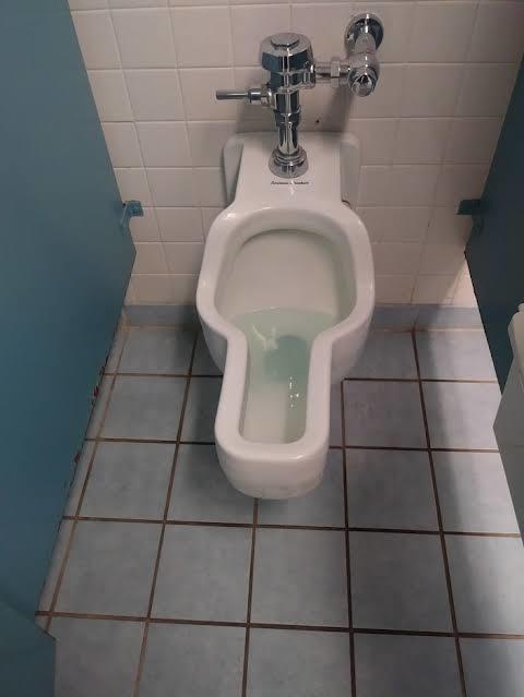 The sitting urinals for women should be installed even in men's WCs?
