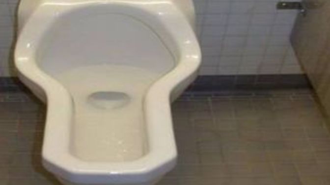 The sitting urinals for women should be installed even in men's WCs?