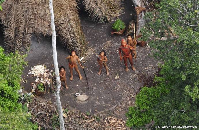 Should the UK bring back it's rainforests?